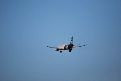 DSC_0858