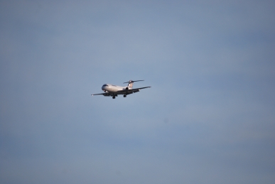 DSC_0888