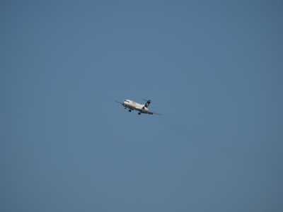 P1080010