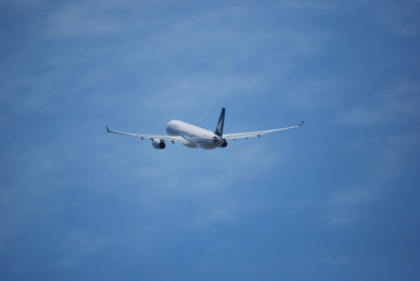 DSC_0574