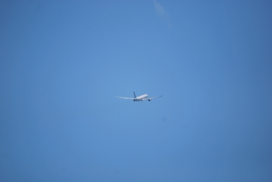 DSC_0502