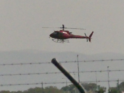 VH-DTS