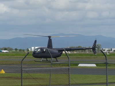 P1350677