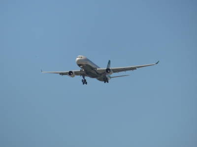 B-16338