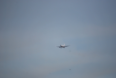 VH-VFO