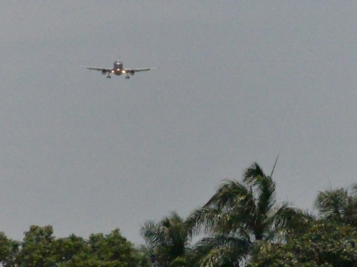 VH-VQE