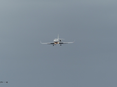 P1210296