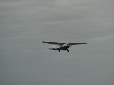 VH-NLG