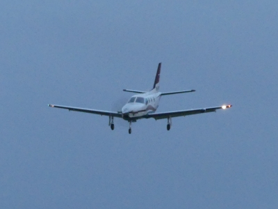P1160565