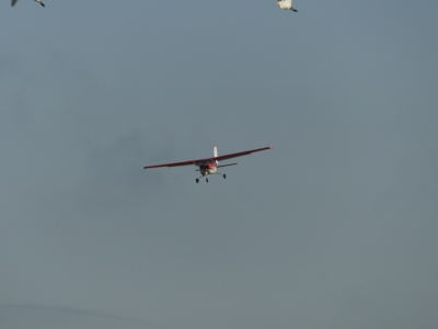 VH-RYY