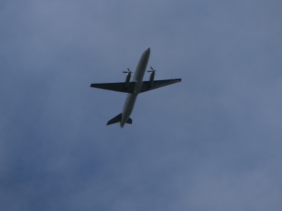 P1150241