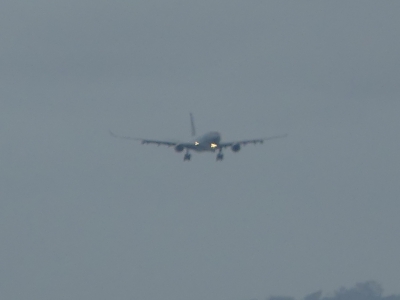 P1190960
