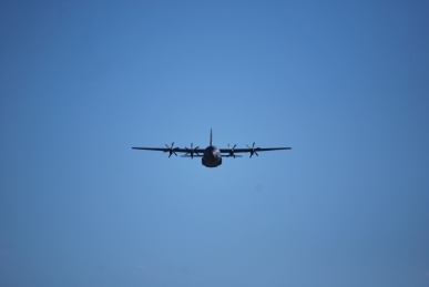 DSC_0493