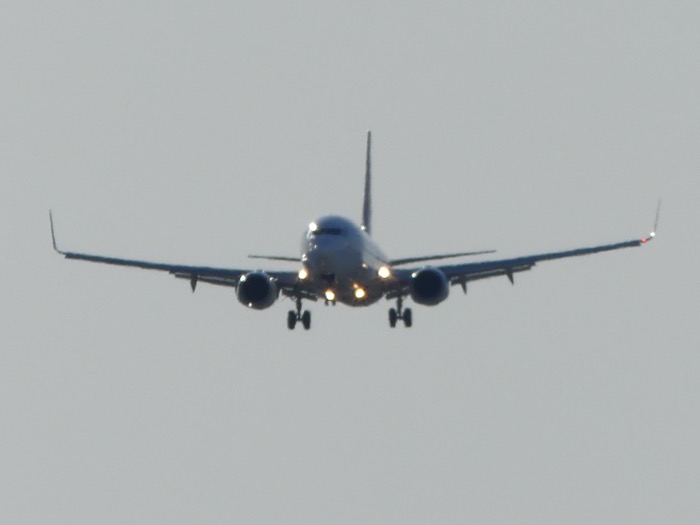 P1350882