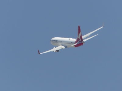 P1190403
