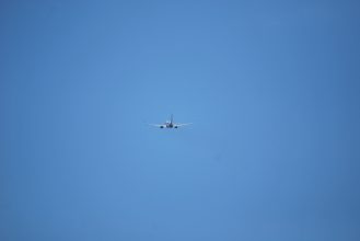 DSC_0493