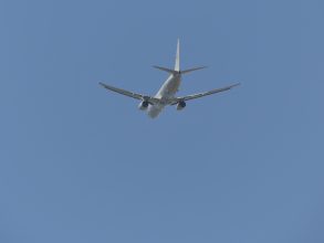 P1110022