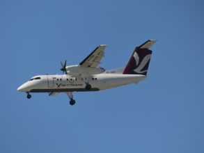 P1070831