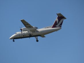 P1070834