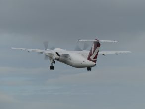 P1350649
