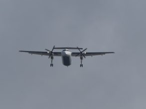 P1290905