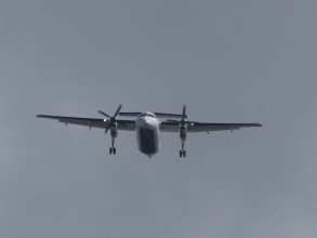 P1290906