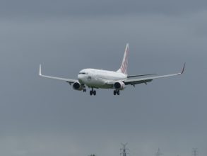 P1350683
