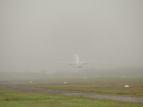 P1100356