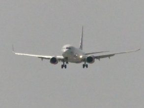 P1130533