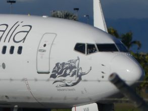 P1360161