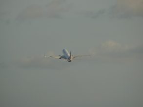 P1070558