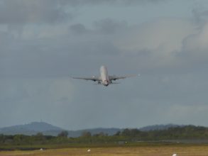 P1100562
