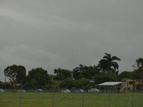 P1070346