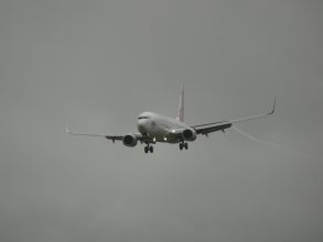 P1070351
