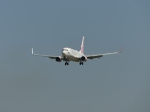 P1100566