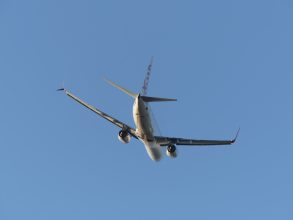 P1190813